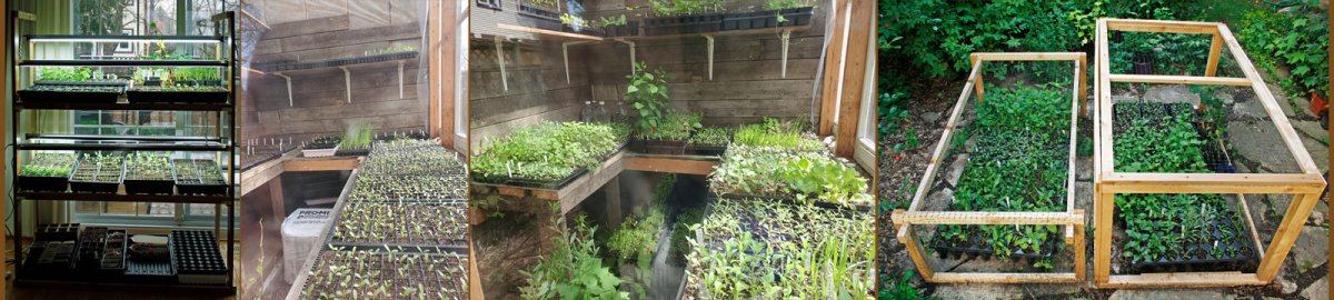 The 12 flat grow rack (the bottom has lights now) ~ The greenhouse in April ~ The Greenhouse in May ~ The patio in May