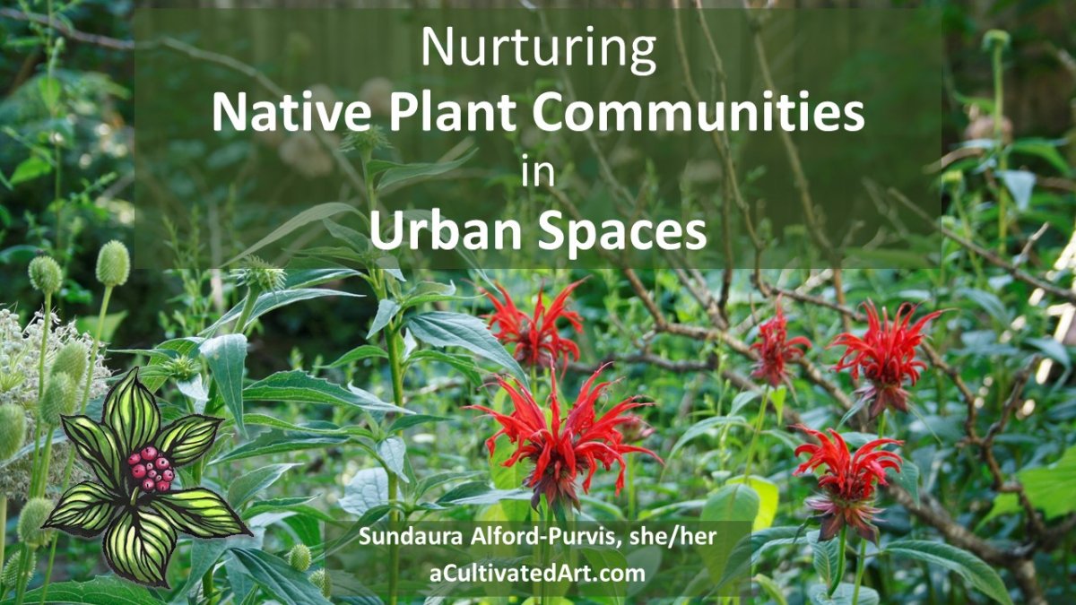 Nurturing Native Plant Communities