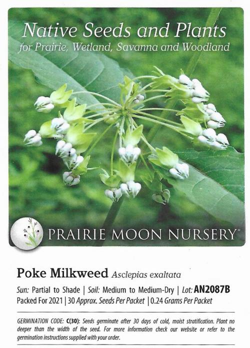 Asclepias exaltata, Poke Milkweed