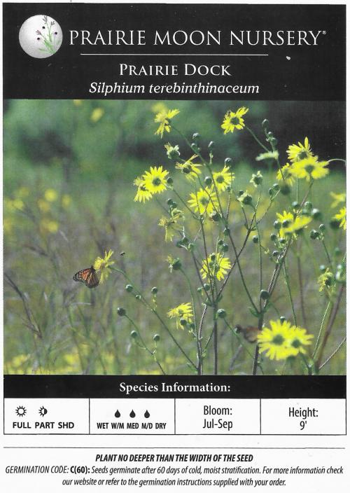 Silphium terebinthinaceum, Prairie Dock