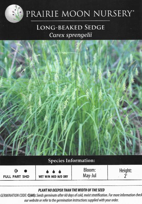 Carex sprengelii, Long-beaked Sedge 