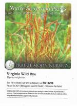 Elymus virginicus, Virginia Wild Rye