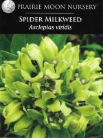 ~ Asclepias viridis, Spider Milkweed